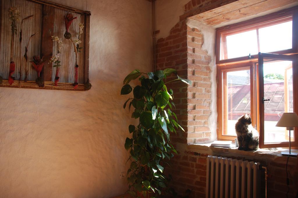 Beguta Guest House Haapsalu Zewnętrze zdjęcie