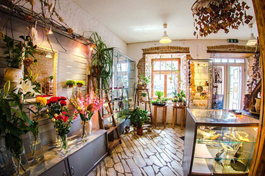 Beguta Guest House Haapsalu Zewnętrze zdjęcie