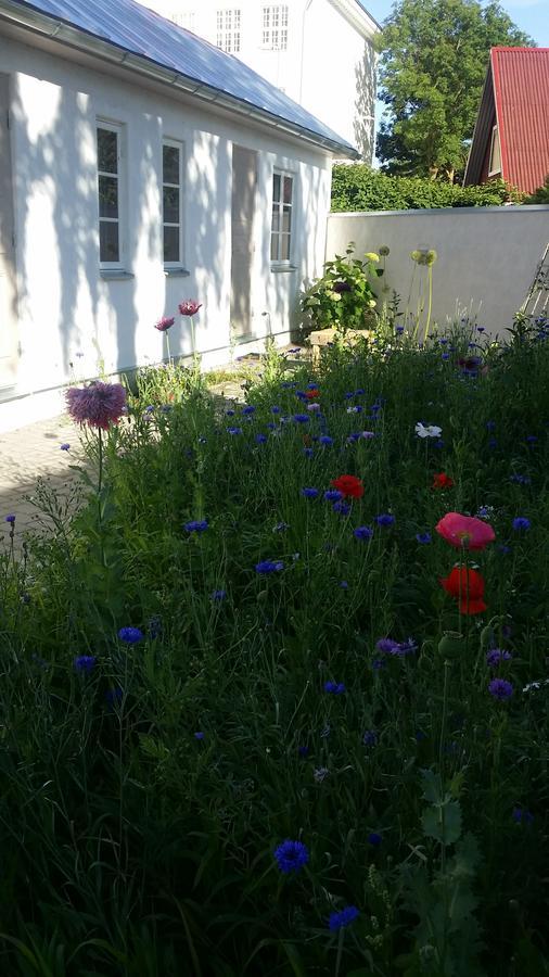 Beguta Guest House Haapsalu Zewnętrze zdjęcie